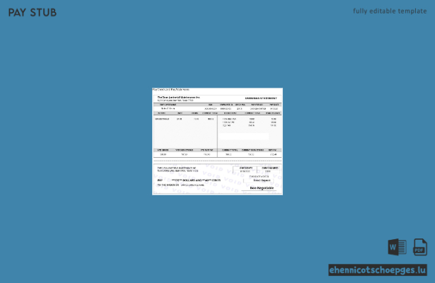 USA The Clean Janitorial Maintenance Inc. – Beispiel einer Gehaltsabrechnung (Vorschau)